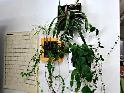 2016-02-18 12.55.21-1