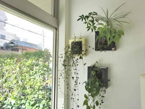 2016-02-18 12.56.04-1