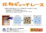 花粉キャッチレース