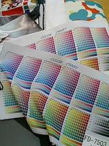 オリジナルカーテン１