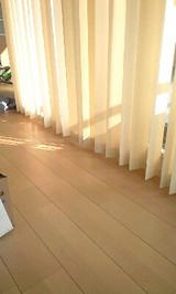 トーソーバーチ1