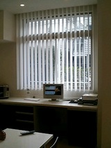 バウマンバーチ２