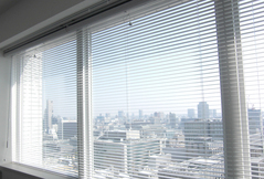 CIMG1545 のコピー